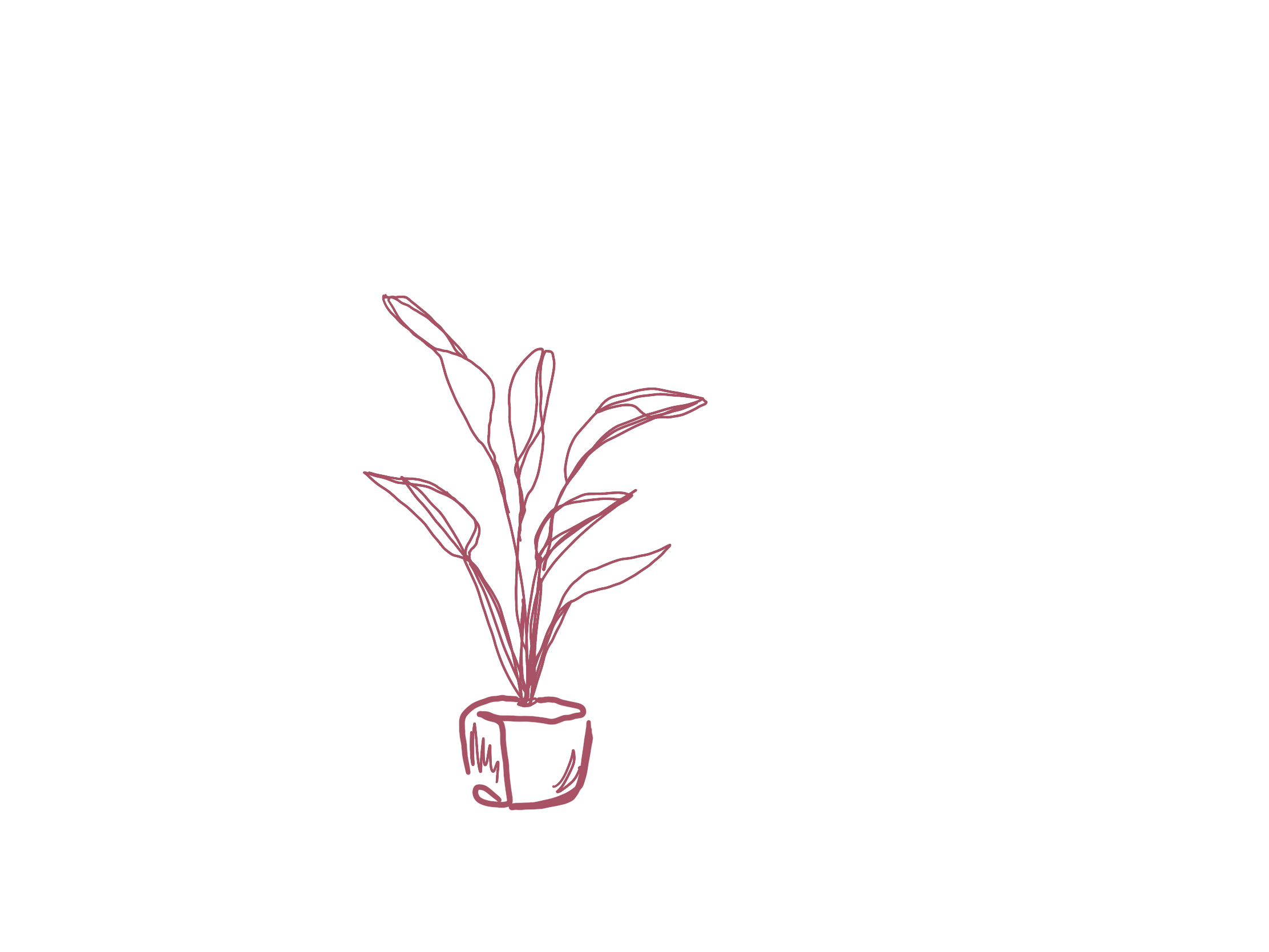 line drawing of potted plant